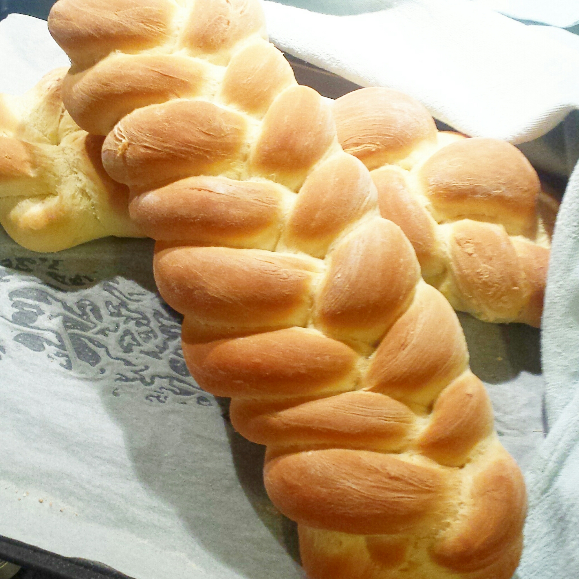 IMG_20140916_093418.jpg image