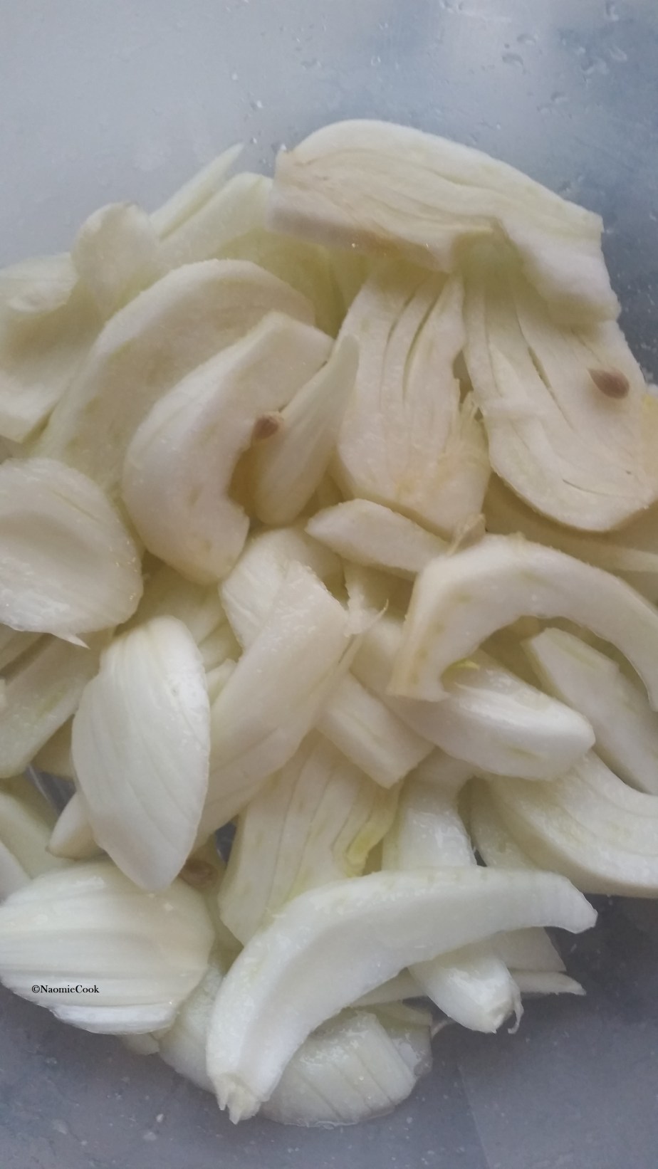 pouelt_citron_fenouil_olive_6